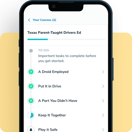 Online Drivers Ed Overview Screen