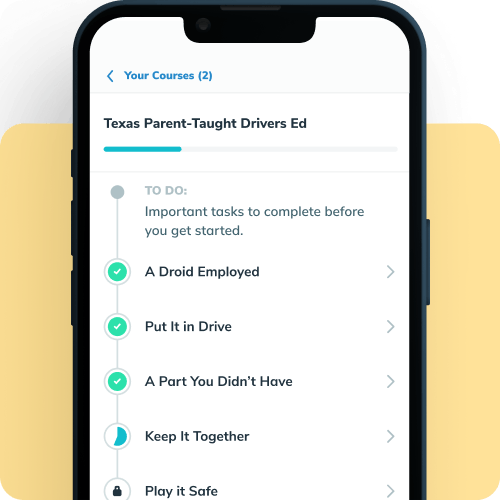 Online Drivers Ed Overview Screen
