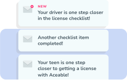 Aceable Driver Log Florida Driver Education & Traffic Safety Course (DETS)
