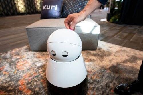Household Robot Assistant