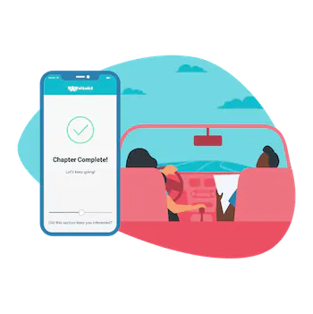 behind the wheel training with aceable