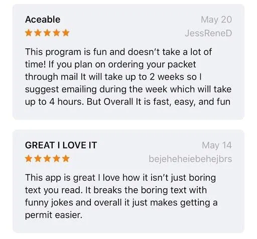 Aceable Review 1