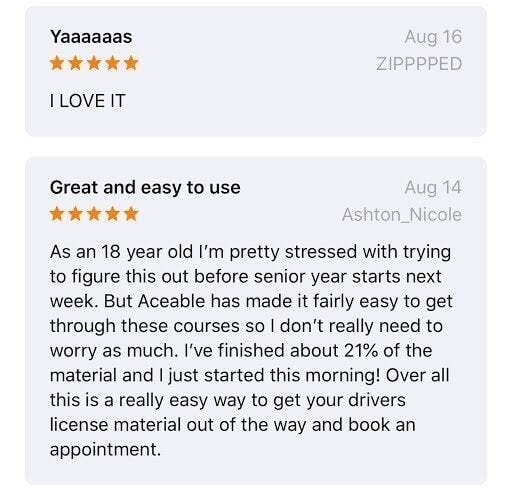 Aceable Review 3
