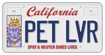 Pet lover license plate