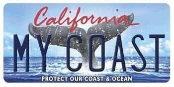 Whale Tail License plate