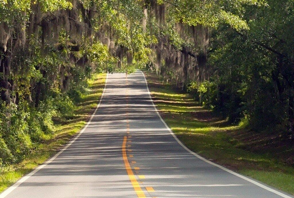 DriversEd.com Is Environmentally Friendly