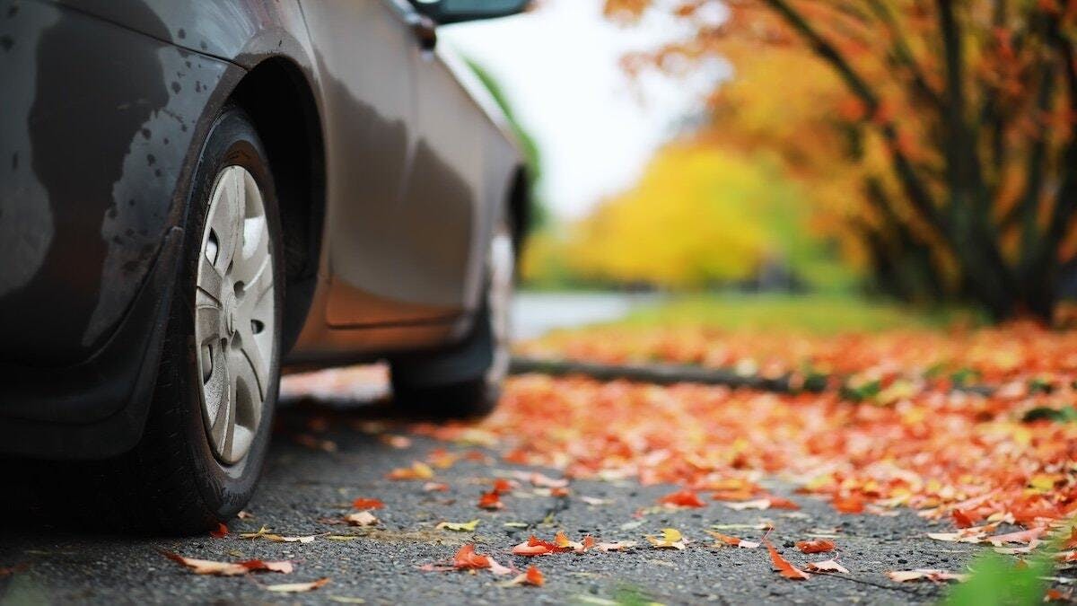 Everything You Need to Know Before Taking Your Driving Test This Fall