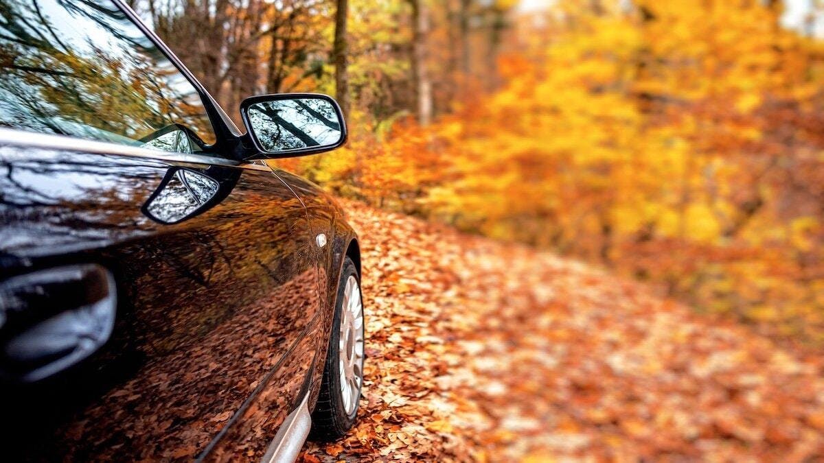 Why Fall Is the Smartest Season to Finish Your Drivers Ed