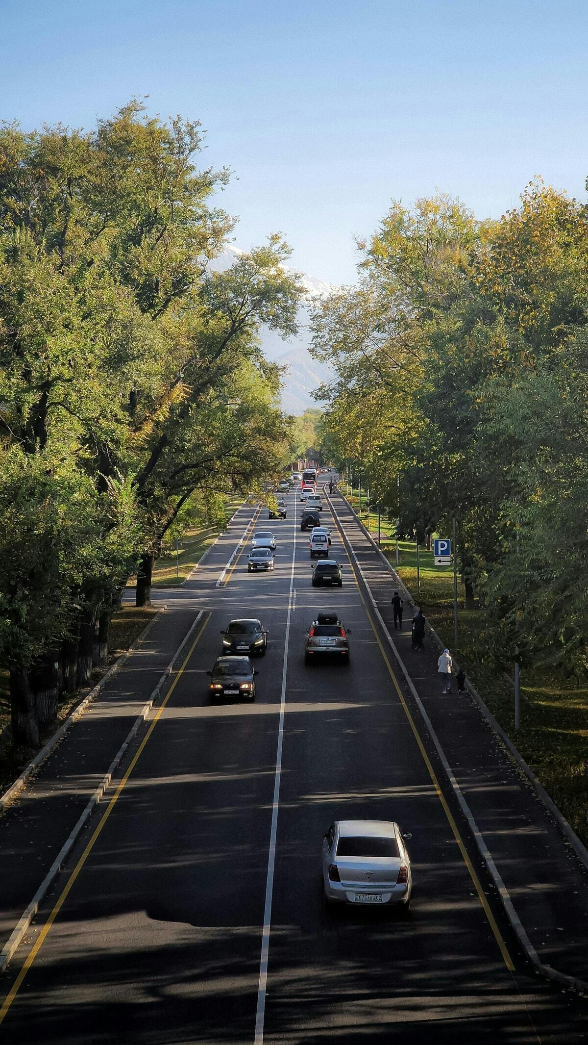 4 Defensive Driving Myths Debunked