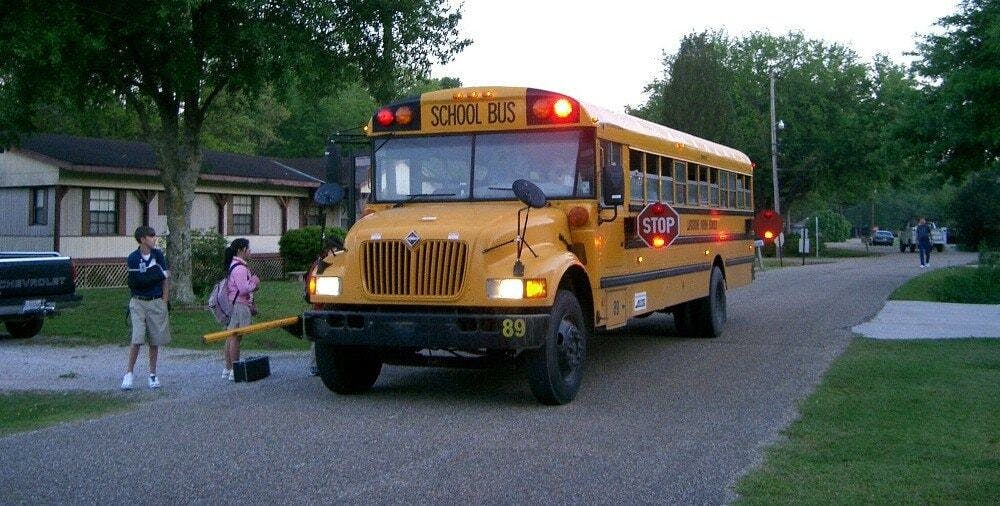 Driver Safety Around School Buses