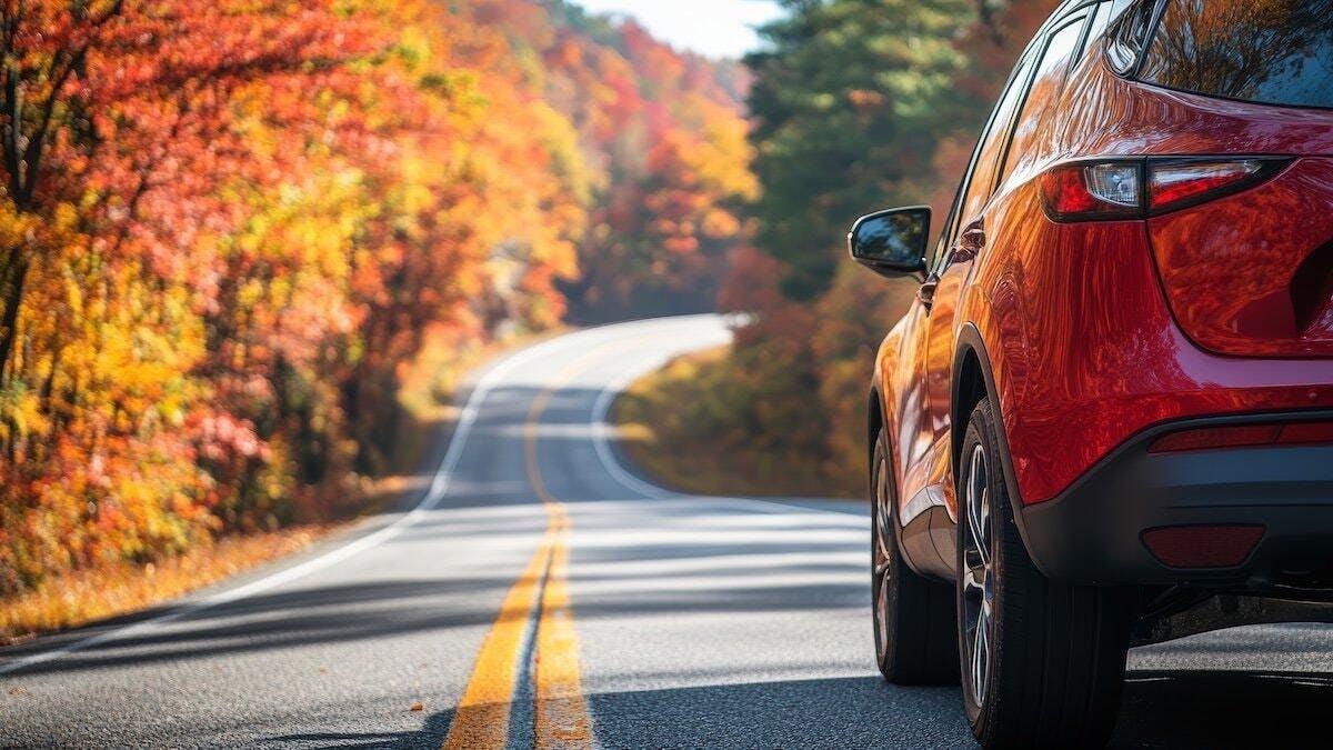 How to Navigate Fall Driving Challenges | Mastering Early Darkness and Glare | IDS