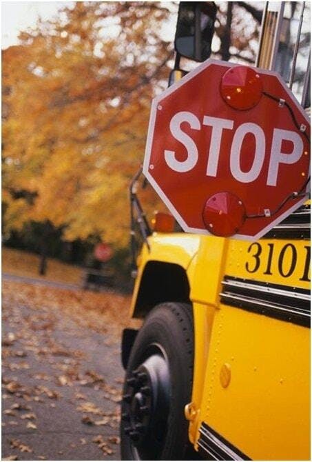 Passing a School Bus - Texas Driving Laws