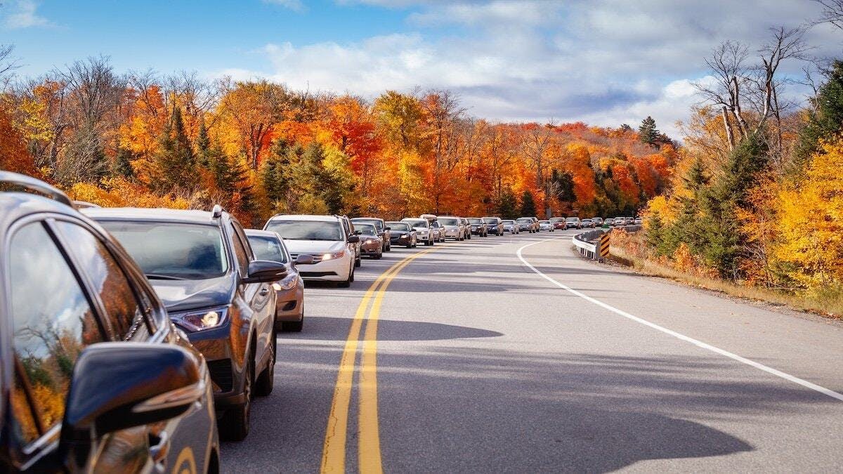 Why Fall Is Peak Season for Rear-End Collisions | I Drive Safely
